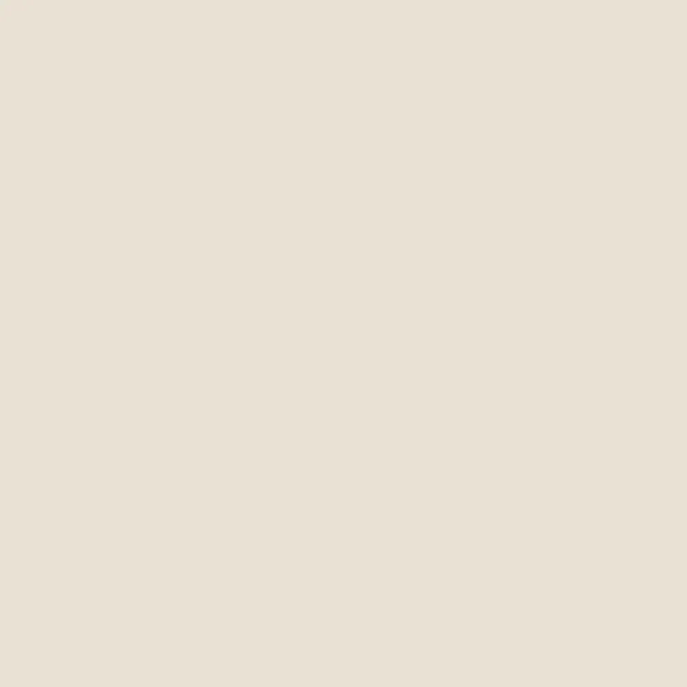 Rodda Paint CASCADIA ZERO Interior Flat Paint & Primer in One, 1-Gallon, White Elephant