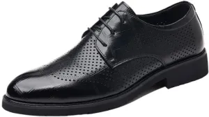 YZABEL Men's Lace-Up Pointed Toe Oxfords Dress Shoes, Stylish Flat Low Top Business Casual Shoes, Breathable Hollow Lightweight Comfortable for Formal and Everyday Wear